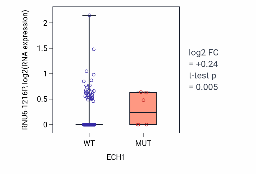Box plot of RNU6-1216P in ECH1-low vs ECH1-high samples in SKCM.