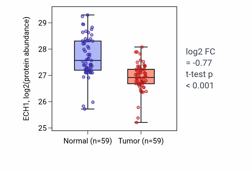Tumor-vs-normal mass-spec protein box plot for ECH1 in HNSC.