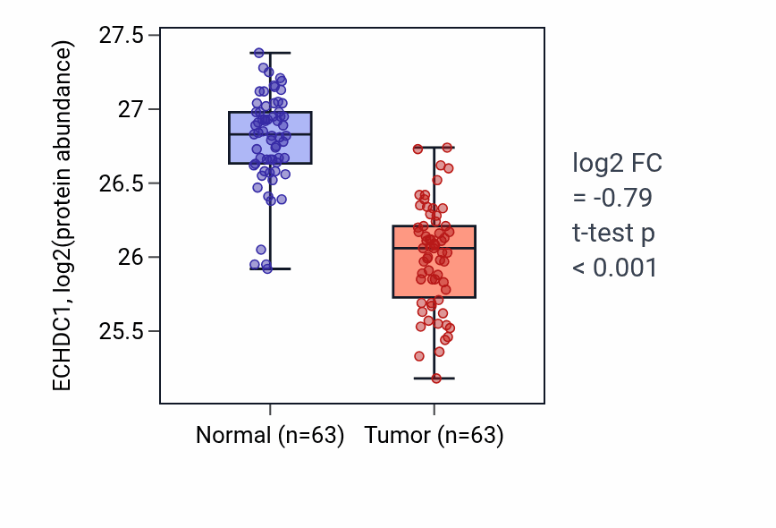 Tumor-vs-normal mass-spec protein box plot for ECHDC1 in CCRCC.