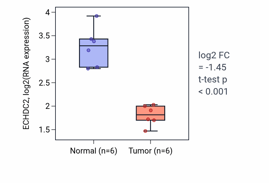 Tumor-vs-normal expression box plot for ECHDC2 in HNSC.