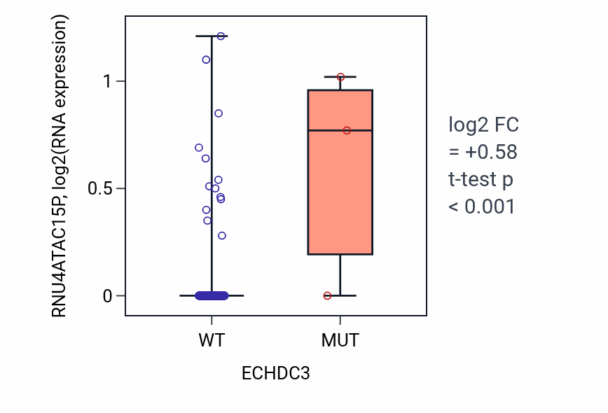 Box plot of RNU4ATAC15P in ECHDC3-low vs ECHDC3-high samples in BLCA.