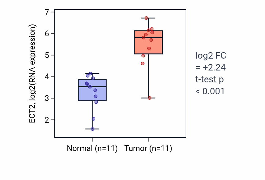 Tumor-vs-normal expression box plot for ECT2 in HNSC.