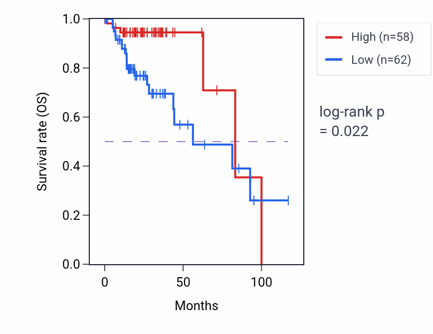 Kaplan&ndash;Meier survival curve for EDN3 RNA expression in COAD: high vs low expression groups.