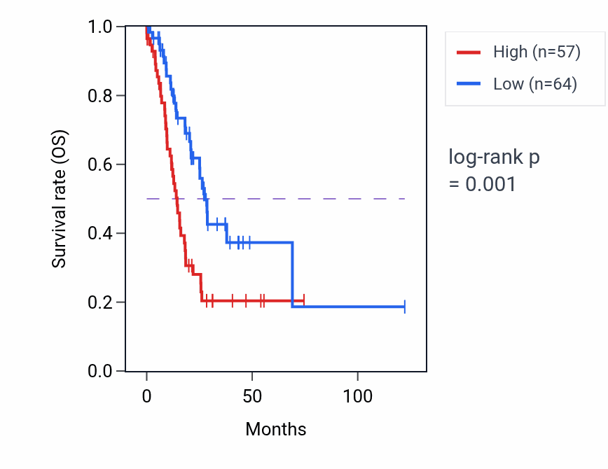 Kaplan&ndash;Meier survival curve for EEF1A1P34 RNA expression in STAD: high vs low expression groups.