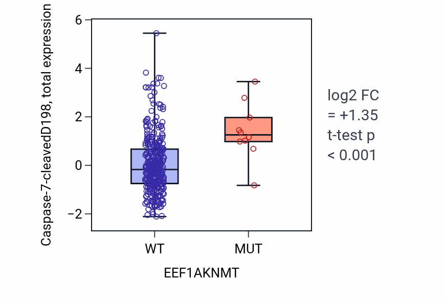Box plot of Caspase-7-cleavedD198 in EEF1AKNMT-low vs EEF1AKNMT-high samples in COAD.