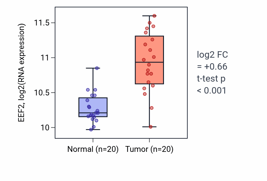 Tumor-vs-normal expression box plot for EEF2 RNA in KIRC.