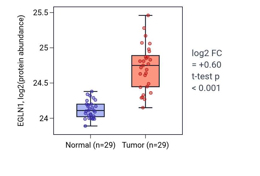 Tumor-vs-normal mass-spec protein box plot for EGLN1 in CCRCC.