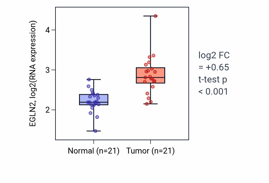 Tumor-vs-normal expression box plot for EGLN2 in STAD.