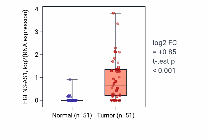 Tumor-vs-normal expression box plot for EGLN3-AS1 in KIRC.