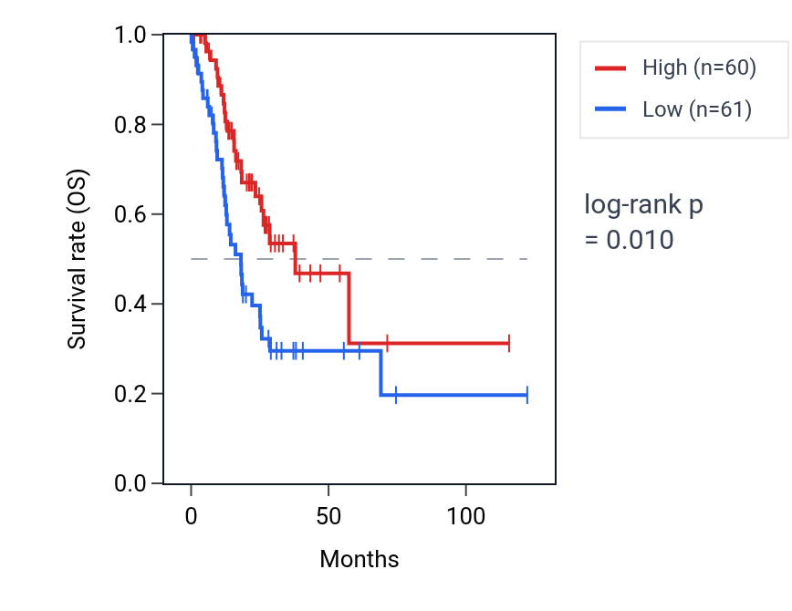 Kaplan&ndash;Meier survival curve for EGLN3P1 RNA expression in STAD: high vs low expression groups.