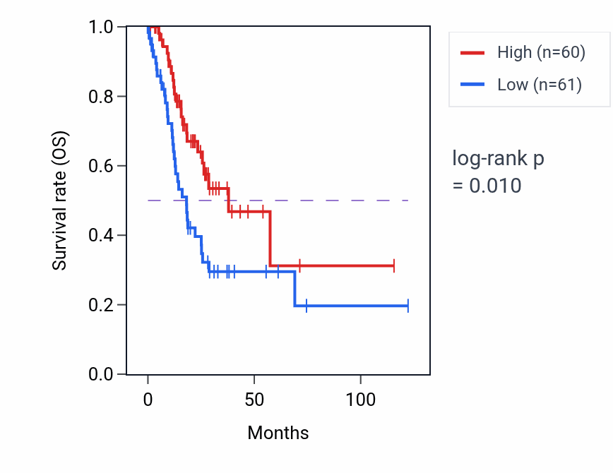 Kaplan&ndash;Meier survival curve for EGLN3P1 RNA-high vs -low samples in STAD.