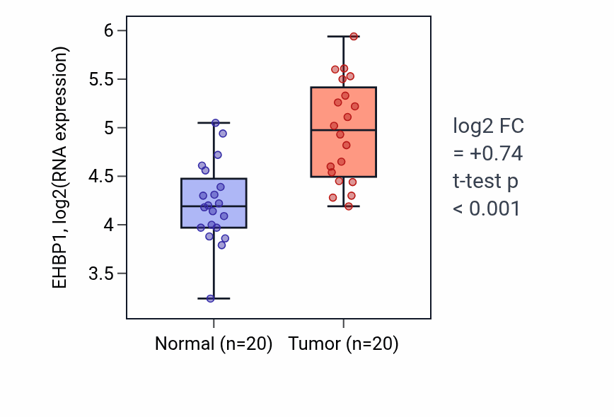 Tumor-vs-normal expression box plot for EHBP1 RNA in KIRC.