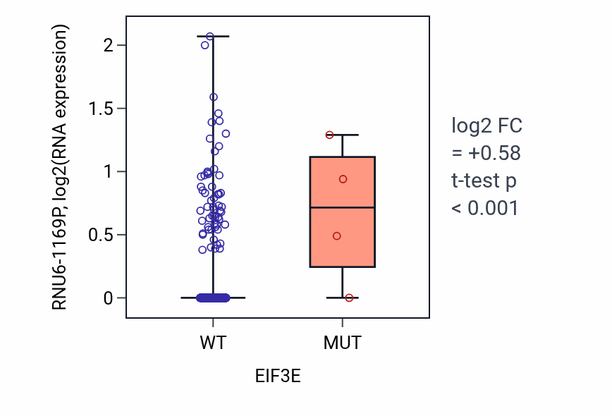 Box plot of RNU6-1169P in EIF3E-low vs EIF3E-high samples in LUAD.