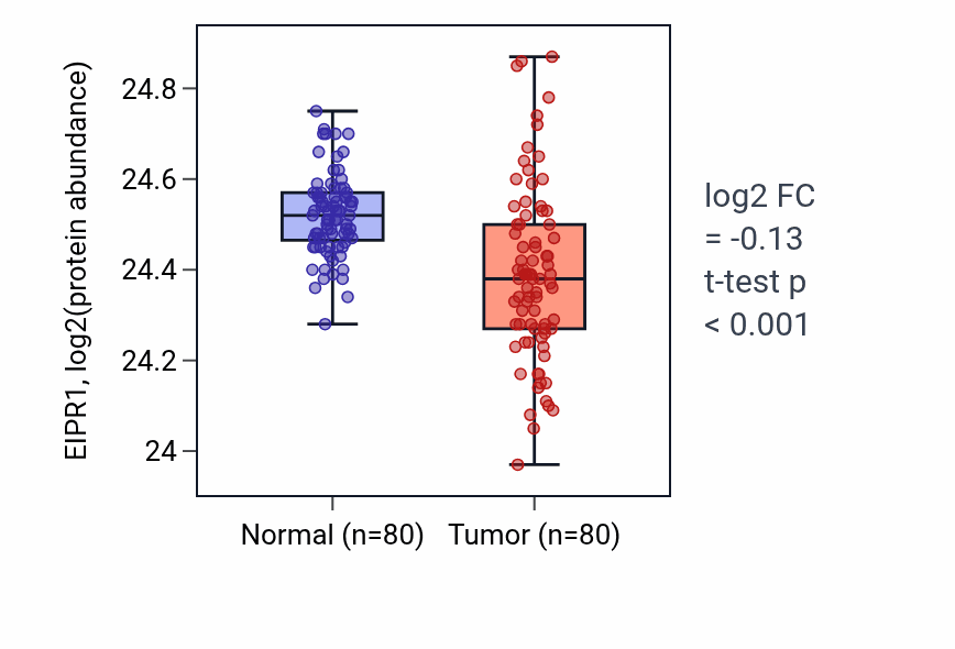 Tumor-vs-normal mass-spec protein box plot for EIPR1 in CCRCC.
