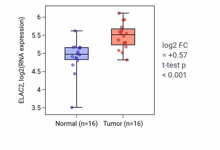 Tumor-vs-normal expression box plot for ELAC2 in HNSC.