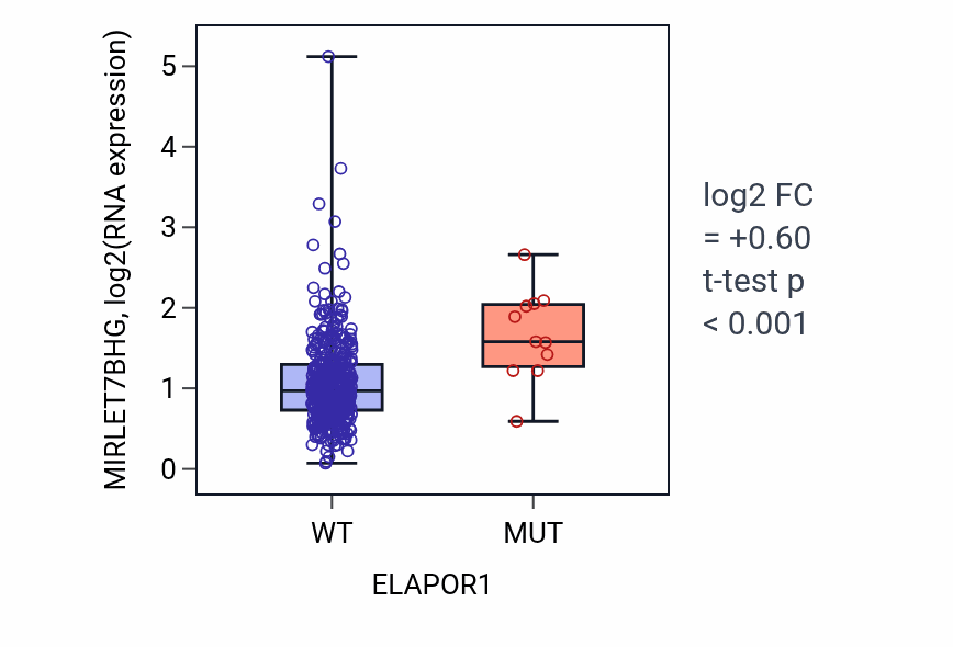 Box plot of MIRLET7BHG in ELAPOR1-low vs ELAPOR1-high samples in COAD.