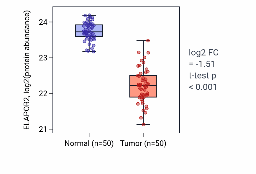 Tumor-vs-normal mass-spec protein box plot for ELAPOR2 in LSCC.