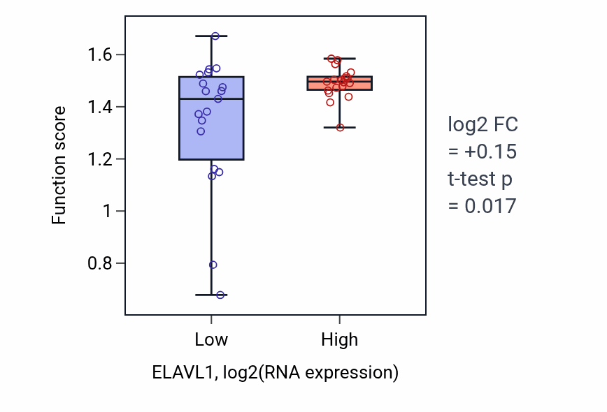 Box plot of Spindle elongation in ELAVL1-low vs ELAVL1-high samples in BONE.