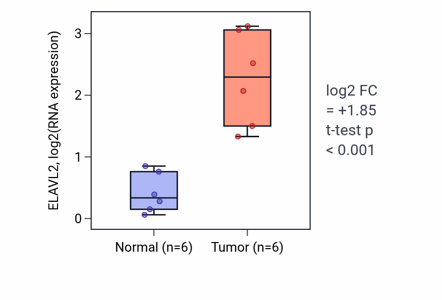Tumor-vs-normal expression box plot for ELAVL2 in HNSC.