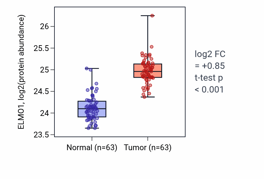 Tumor-vs-normal mass-spec protein box plot for ELMO1 in CCRCC.