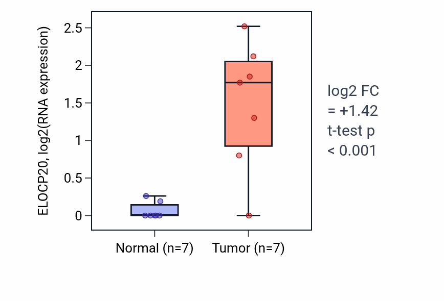 Tumor-vs-normal expression box plot for ELOCP20 in THCA.