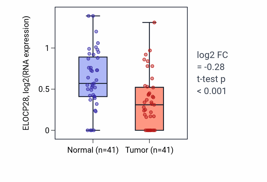 Tumor-vs-normal expression box plot for ELOCP28 in THCA.