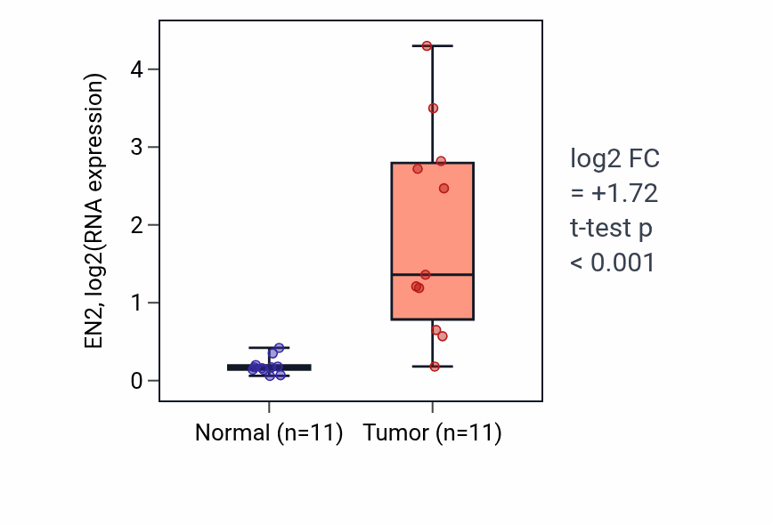 Tumor-vs-normal expression box plot for EN2 in HNSC.