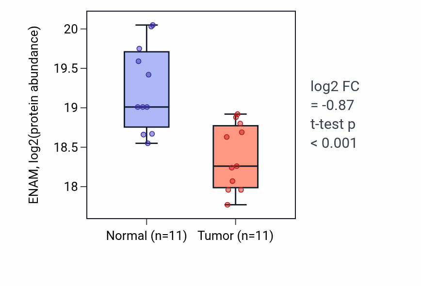 Tumor-vs-normal mass-spec protein box plot for ENAM in LUAD.
