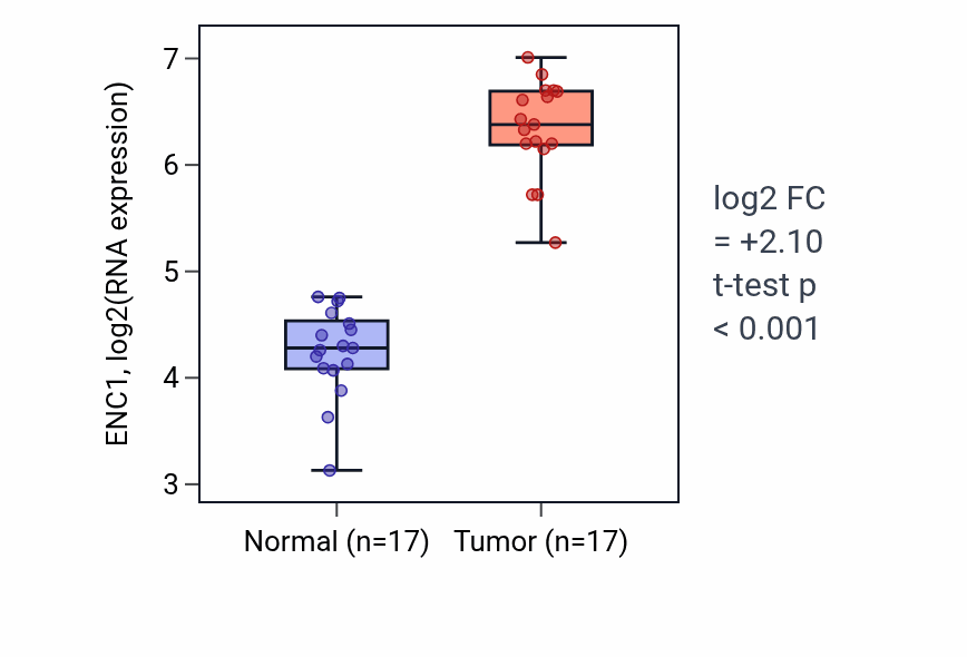Tumor-vs-normal expression box plot for ENC1 in COAD.