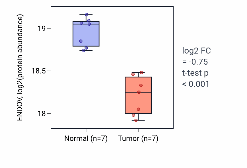 Tumor-vs-normal mass-spec protein box plot for ENDOV in HNSC.