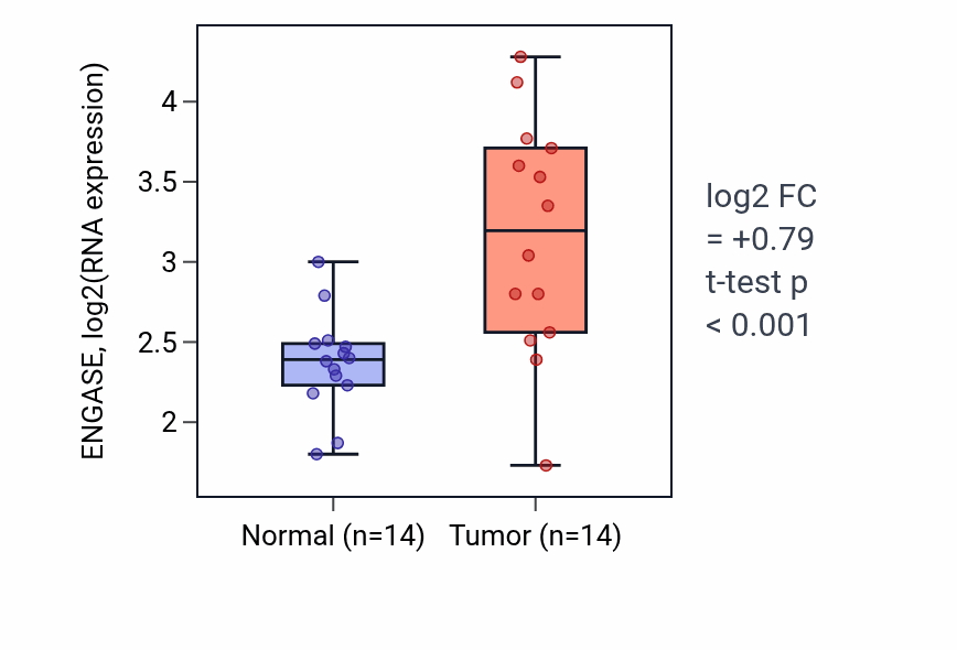 Tumor-vs-normal expression box plot for ENGASE in HNSC.