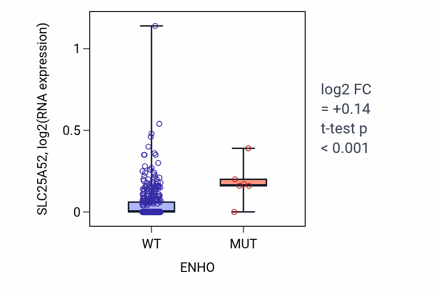 Box plot of SLC25A52 in ENHO-low vs ENHO-high samples in COAD.