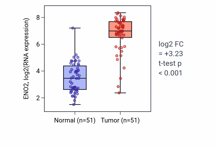 Tumor-vs-normal expression box plot for ENO2 in KIRC.