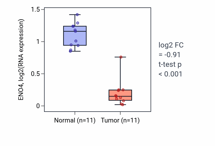 Tumor-vs-normal expression box plot for ENO4 in KICH.