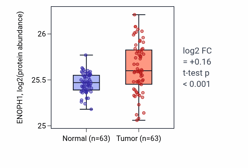 Tumor-vs-normal mass-spec protein box plot for ENOPH1 in CCRCC.