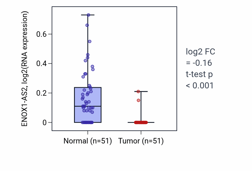 Tumor-vs-normal expression box plot for ENOX1-AS2 in KIRC.