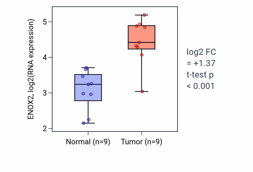 Tumor-vs-normal expression box plot for ENOX2 in HNSC.
