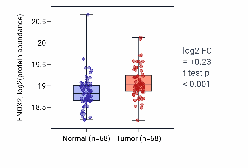 Tumor-vs-normal mass-spec protein box plot for ENOX2 in LSCC.
