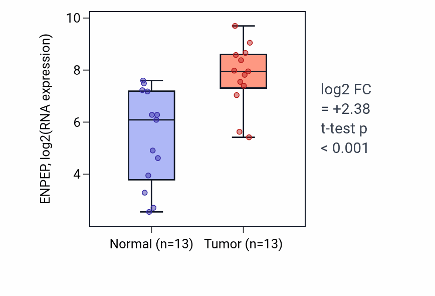 Tumor-vs-normal expression box plot for ENPEP in KIRC.