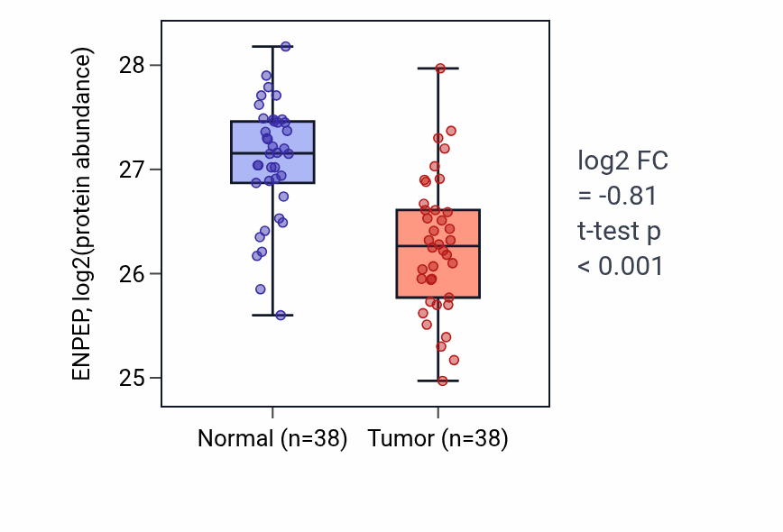 Tumor-vs-normal mass-spec protein box plot for ENPEP in CCRCC.