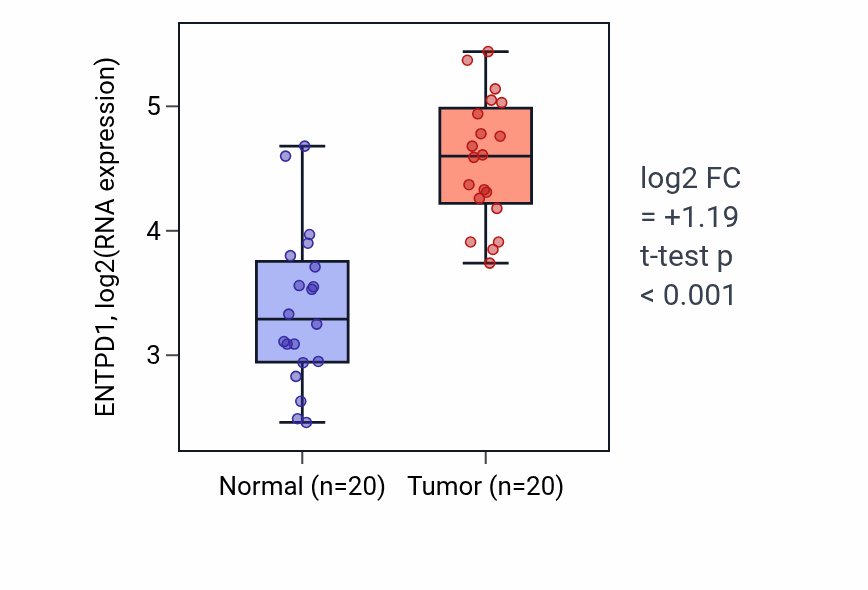 Tumor-vs-normal expression box plot for ENTPD1 in KIRC.