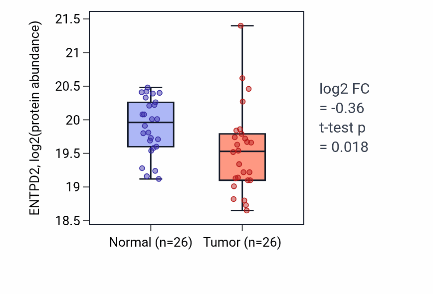 Tumor-vs-normal mass-spec protein box plot for ENTPD2 in HNSC.