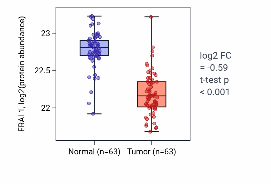 Tumor-vs-normal mass-spec protein box plot for ERAL1 in CCRCC.