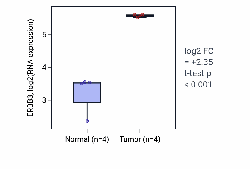 Tumor-vs-normal expression box plot for ERBB3 in THCA.