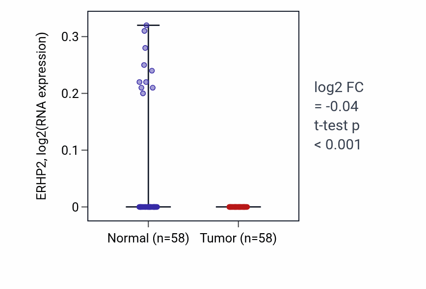Tumor-vs-normal expression box plot for ERHP2 in THCA.