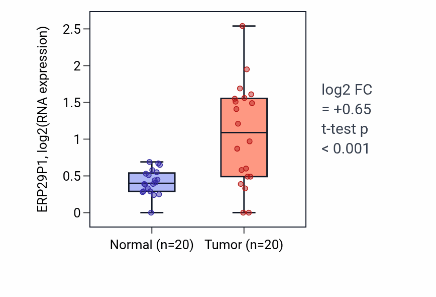 Tumor-vs-normal expression box plot for ERP29P1 RNA in COAD.