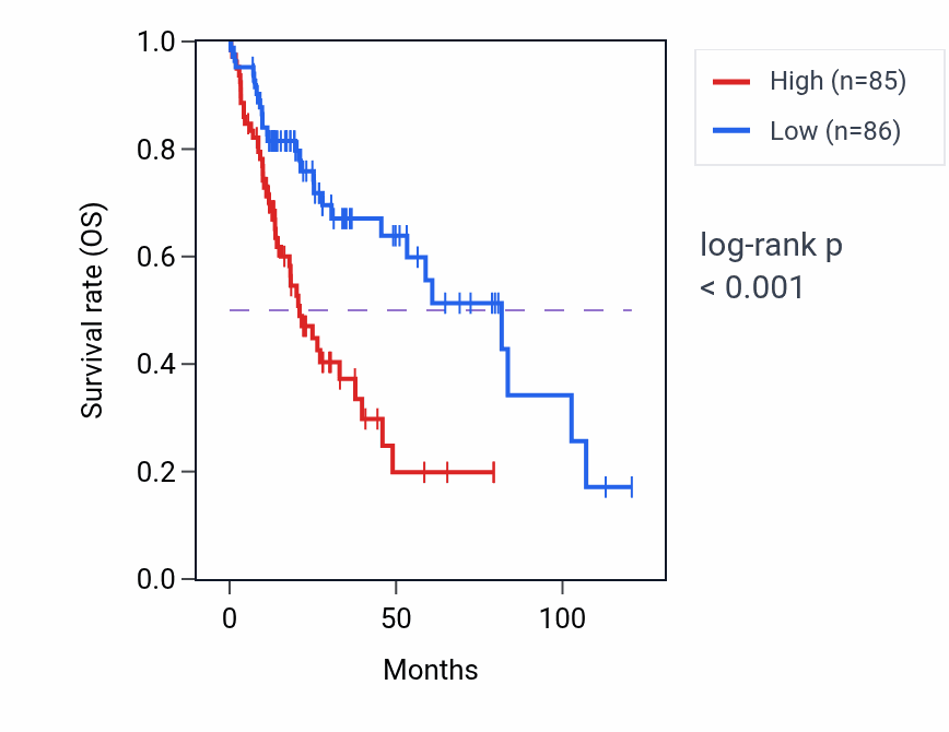 Kaplan&ndash;Meier survival curve for ETV1 RNA expression in LIHC: high vs low expression groups.