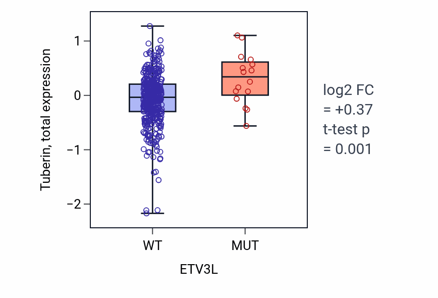 Box plot of Tuberin in ETV3L-low vs ETV3L-high samples in UCEC.