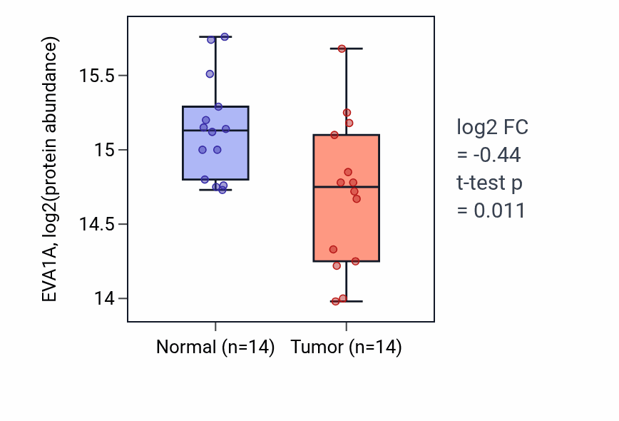 Tumor-vs-normal mass-spec protein box plot for EVA1A in LSCC.