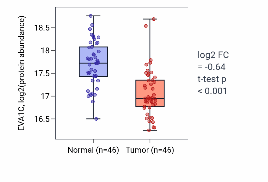 Tumor-vs-normal mass-spec protein box plot for EVA1C in LSCC.